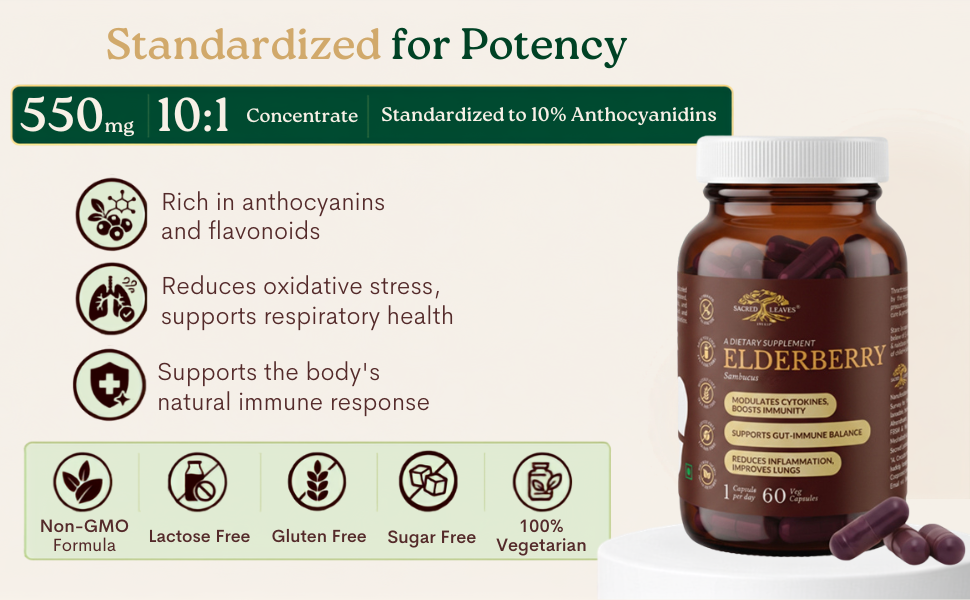 Elderberry Extract 500 mg, Immune Support Supplement