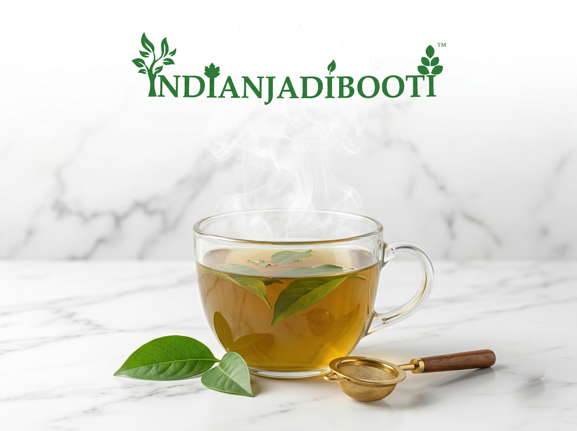 IndianJadiBooti Pure Bansa Green Leaves (Vasaka/Adhatoda Vasica) | Traditional Ayurvedic Botanical for Respiratory Wellness, Clear Breathing & Throat Comfort (900 Grams)