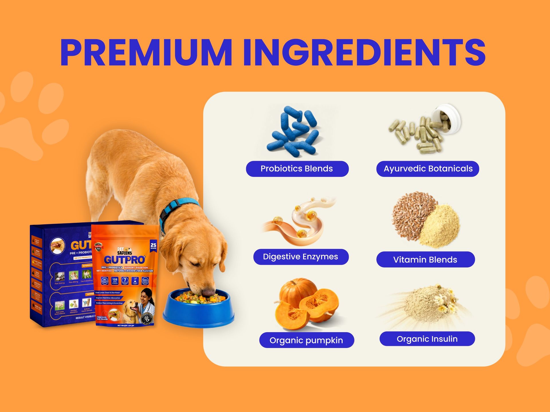PETSAPIENS Pre + Probiotic Supplement for Dogs (120g) | 10B CFU | Boosts Gut Health & Immunity | Gluten-Free | Vet Formulated | Prevents Scratching, Paw-Licking & Indigestion | Chicken Flavour