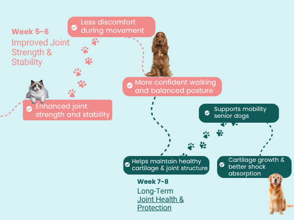 Jounce® Hip & Joint Supplement for Dogs, 30 Crunchies for Stiffness, Limping, Joint Pain & Dogs Prone to Hip Dysplasia with Collagen, Boswellia Serrata & Chondroitin for Mobility & Cartilage Support
