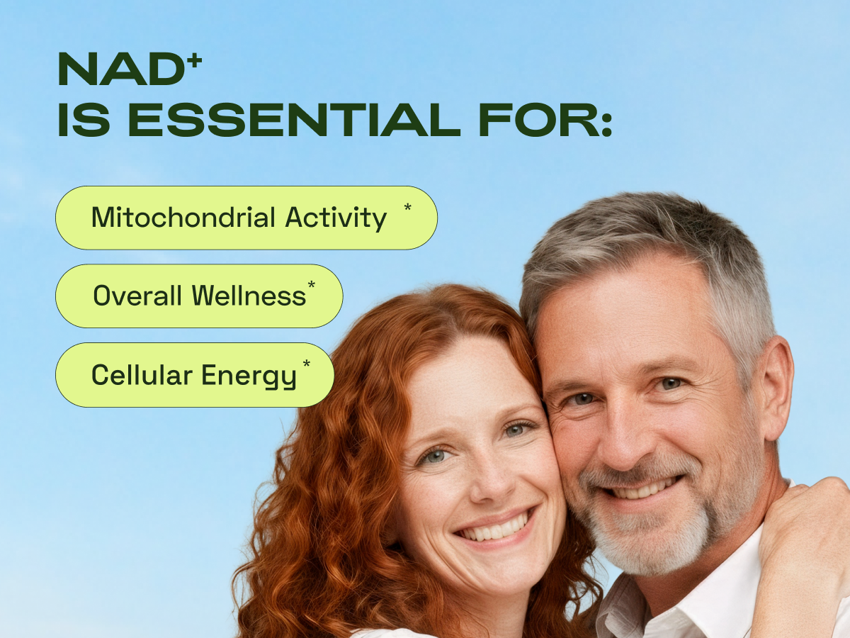 Cata-Kor NMN Supplement Alternative – Liposomal NAD+ Supplement - NAD CORE 30-Day Supply 60 Capsules