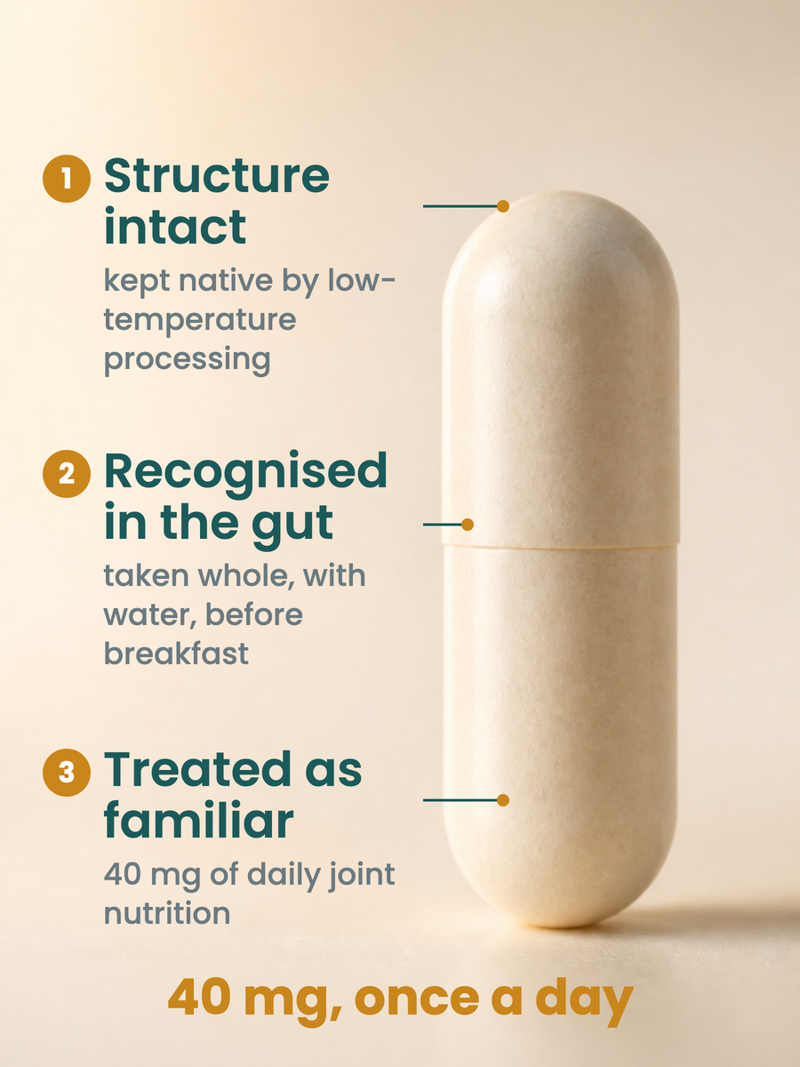 Undenatured Type II Collagen Joint Support Supplement - 40mg Native Collagen with Boswellia Serrata, Rose Hips & Hyaluronic Acid for Joint Comfort, Flexibility & Mobility - 30 Capsules