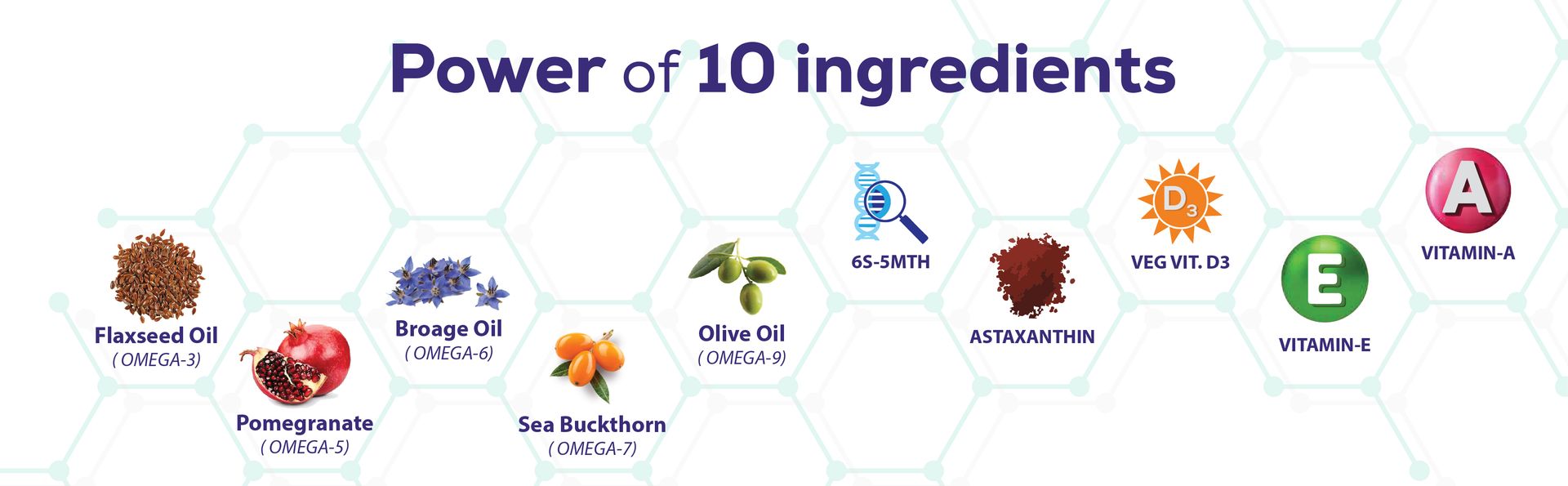 Multiomega 100% Vegan Omega Softgel | Omega 3-5-6-7-9, Vitamin D3 | Support Heart, Nerve & Renal Health | Strengthens Immunity & Antioxidant Effect (60 Veg Softgels)