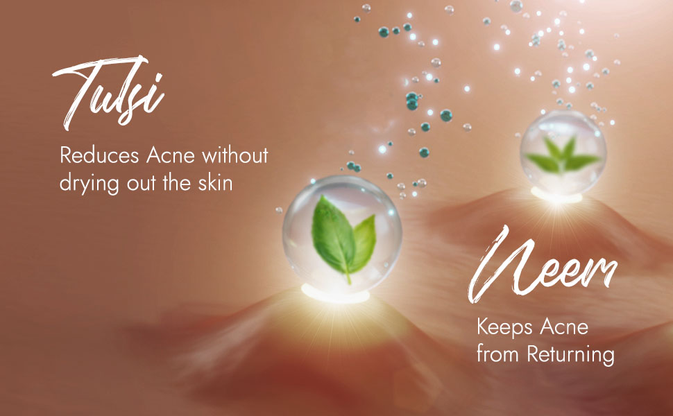 Kapiva Acne Control Tulsi Face Wash | Reduces Active Acne & Scars | For All Skin Types | 0% Parabens, Sulfates, Silicones