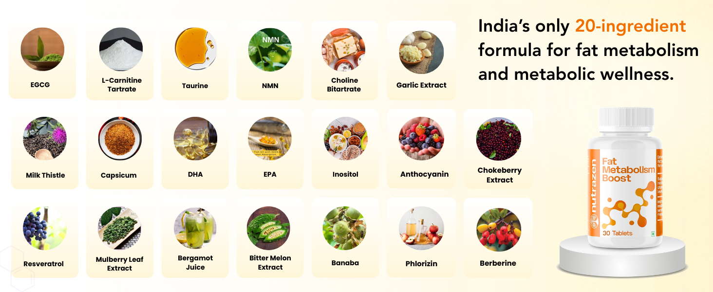 Fat Metabolism Boost - 30 Tablets | 20 Plant Based Ingredients