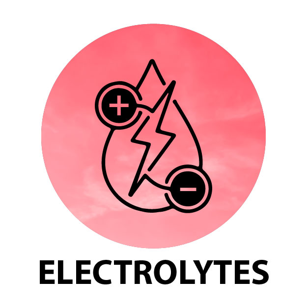 XLR8 Electrolytes Powder 1 Kg (30 Servings) | High Performance Isotonic Sports Hydration & Energy Drink Mix with Sodium, Potassium, Magnesium, Glucose & Glutamine | Instant Rehydration for Workout, Running & Endurance | Orange
