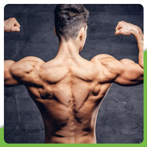 Herbalife Personalized Protein Powder Combo Pack Of 2 (400Gms)