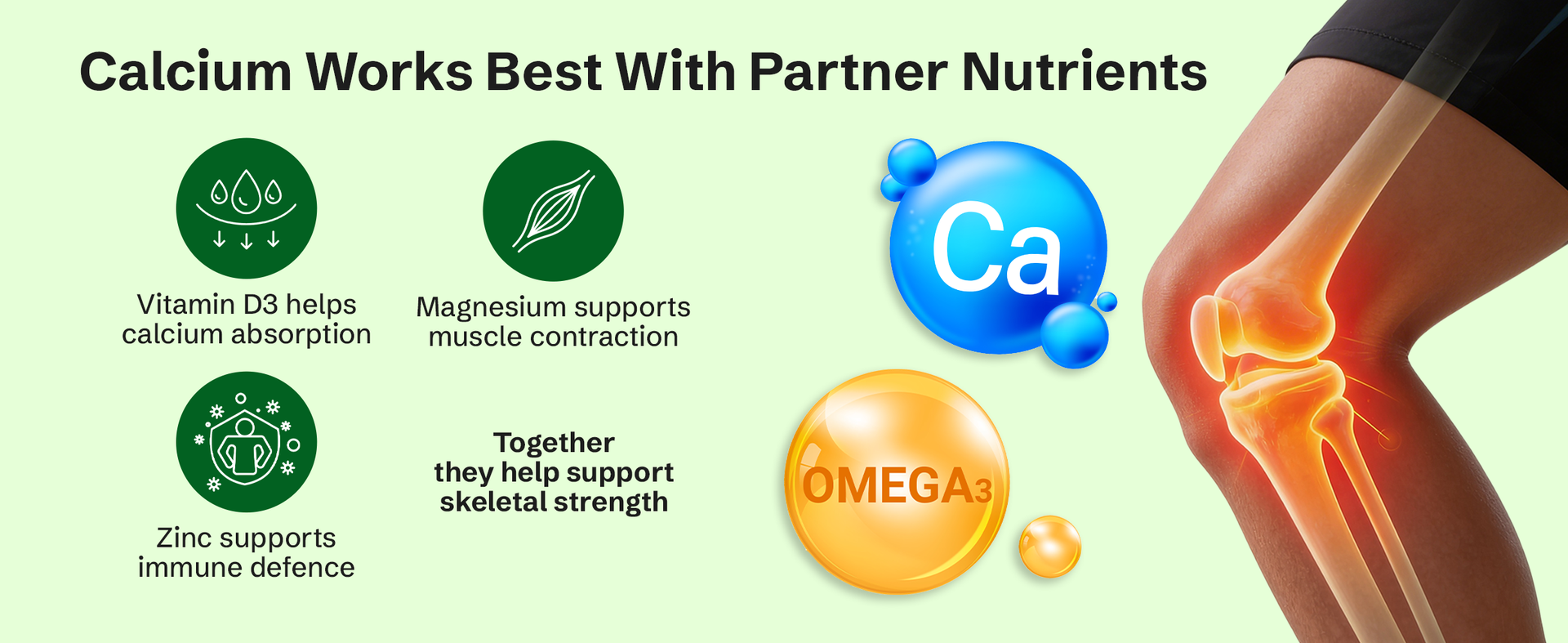 Nveda Omega 3 Fish Oil & Calcium Combo for Men & Women with Omega 3, Calcium, Magnesium, Zinc, Vitamin D3 & Vitamin B12 for Heart, Brain & Bone Health, 60 Capsules + 60 Tablets