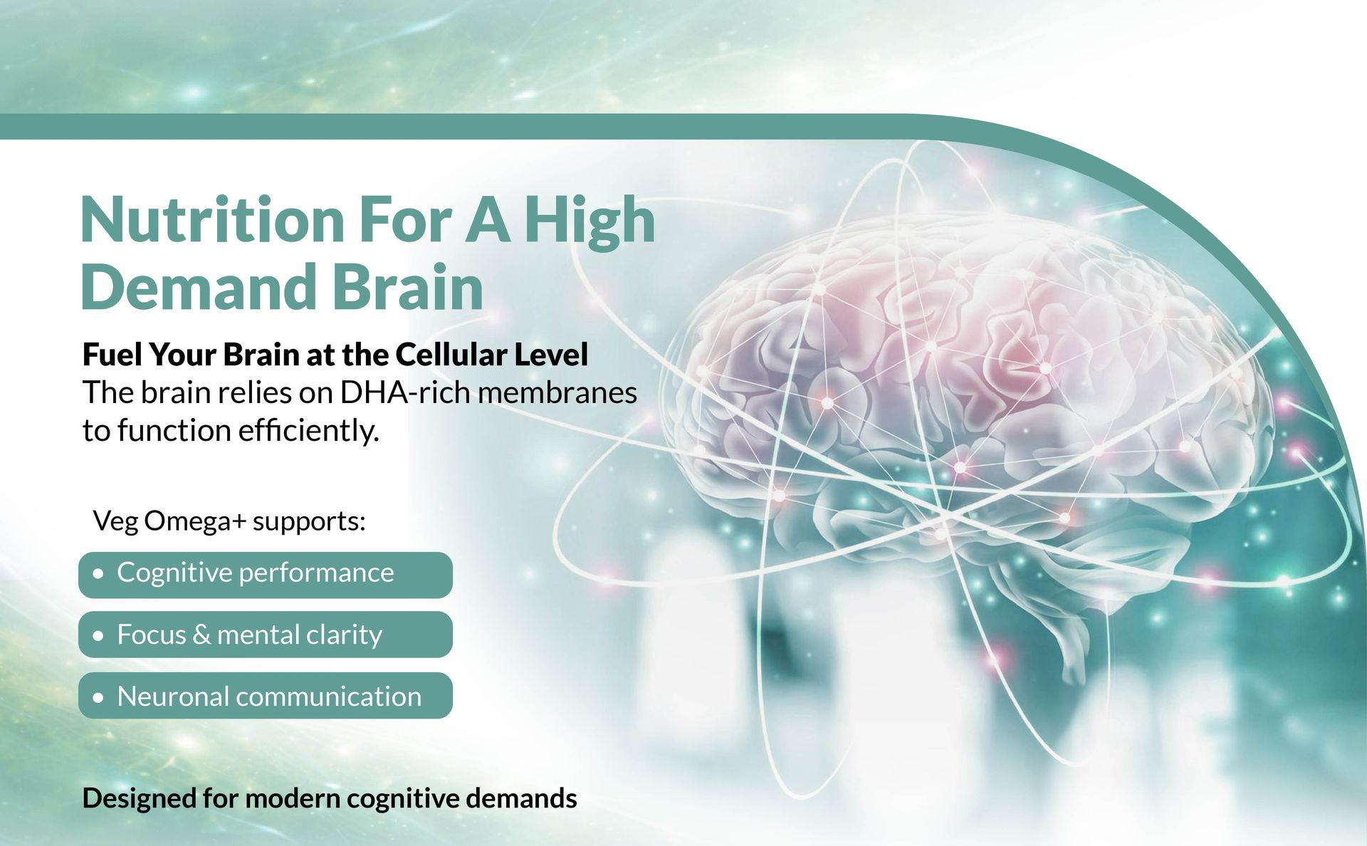 Veg Omega+ | Vegan Algal DHA (Triglyceride Form) – 300mg with Lutein, Zeaxanthin & Choline | Supports Brain, Heart, Eye & Skin Health | Mercury-Free, Fish Oil Alternative | 30 Veg Softgels