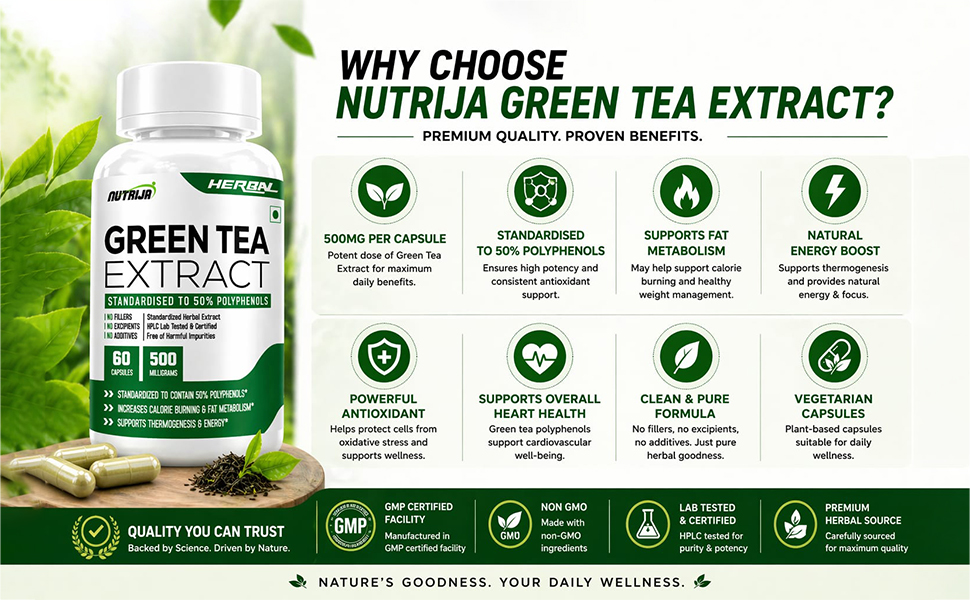 NutriJa Green Tea Extract 500mg | Standardized to 50% Polyphenols | 60 Capsules | Herbal Daily Wellness Supplement
