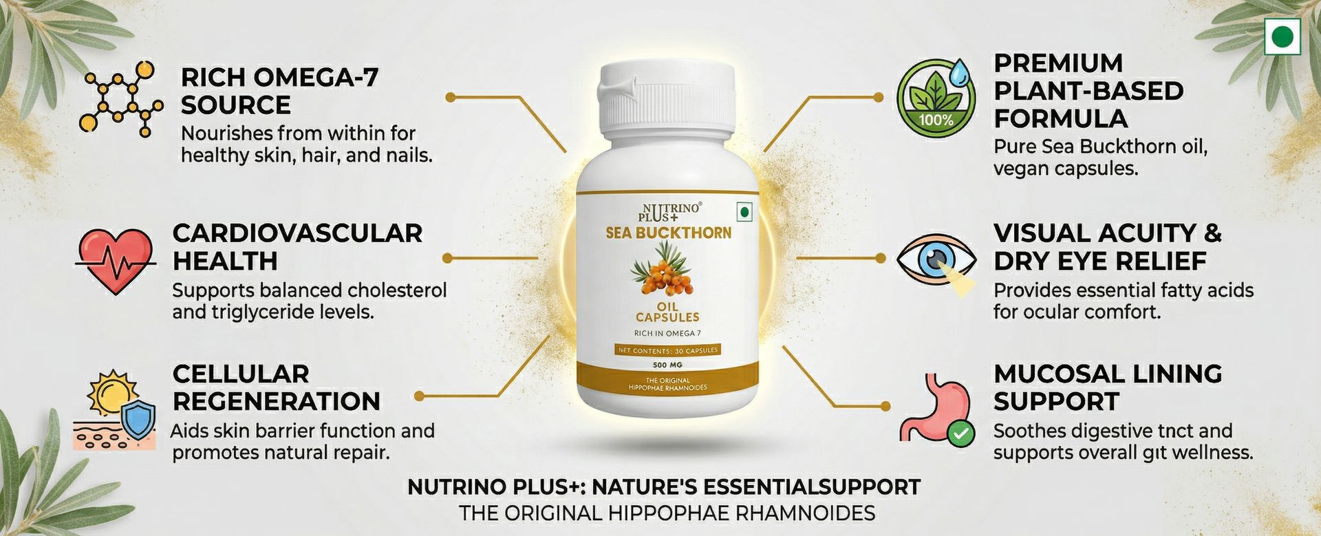 Sea Buckthorn Oil Capsules 500mg | Prostate Health & Urinary Support for Men | Omega 3 6 7 9 | Hippophae Rhamnoides Extract | Anti-Inflammatory Supplement | 30 Softgels