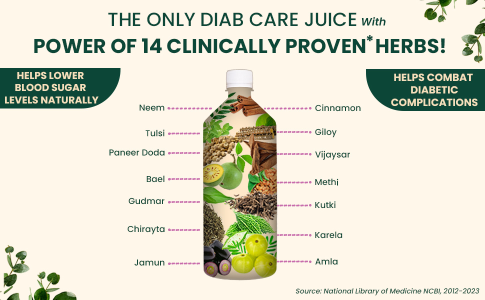 Vansaar 45+ Diab Balance Juice, 1L | Ayurvedic Diabetic Care Juice for 45+ Adults | Karela, Jamun, Neem, Paneer Doda, Cinnamon, & 9 more natural herbs | Manages Blood Sugar & Insulin Level