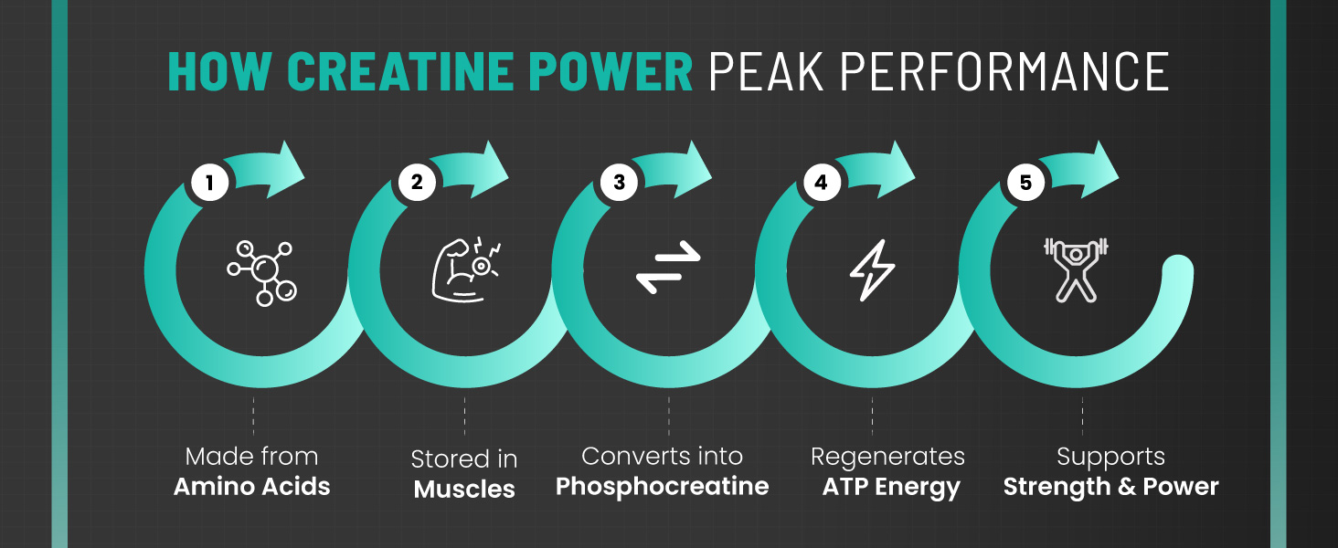 Anecdote Creatine Monohydrate | 3.1g Per Serving | Enhanced Muscle Strength, Power & Recovery | Micronised Formula for Better Absorption | Unflavoured | For Men & Women | 100g