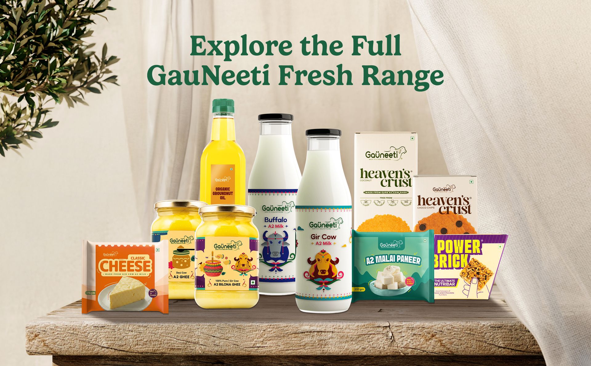Gauneeti Power Brick Nutribar 120 Grams, Protein Bar with Nuts & Seeds, Made with Desi Cow A2 Ghee, Jaggery & Honey Sweetened, No Refined Sugar, No Preservatives, 2 Classic + 2 Chocolate for Everyday Snacking