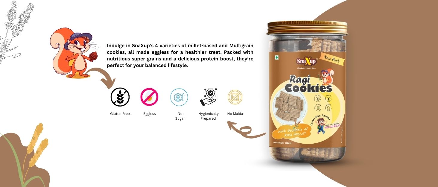 Snaxup Millets Ragi Protein Cookies | Whey Protein, Healthy Flax Seeds | Sugar Free Cookies Biscuits (250g, Ragi Cookies)