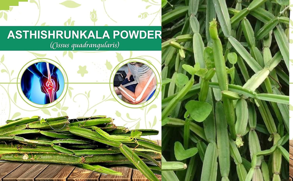 Herbal Hills Asthishrunkala Powder cissus quadrangularis powder - 1 Kg