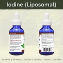 vinco-inc-liposomal-iodine-thyroid-funct-2.jpg