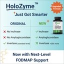 healthy-gut-holozyme-max-strength-digest-4.jpg