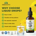 herbalicious-dandelion-root-extract-liqu-3.jpg