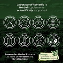 lab-dandelion-tincture-vegan-dandelion-r-4.jpg