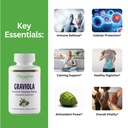 paradise-herbs-graviola-graviola-leaf-ex-2.jpg