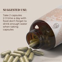 burdock-120-capsules-high-potency-herbal-2.jpg