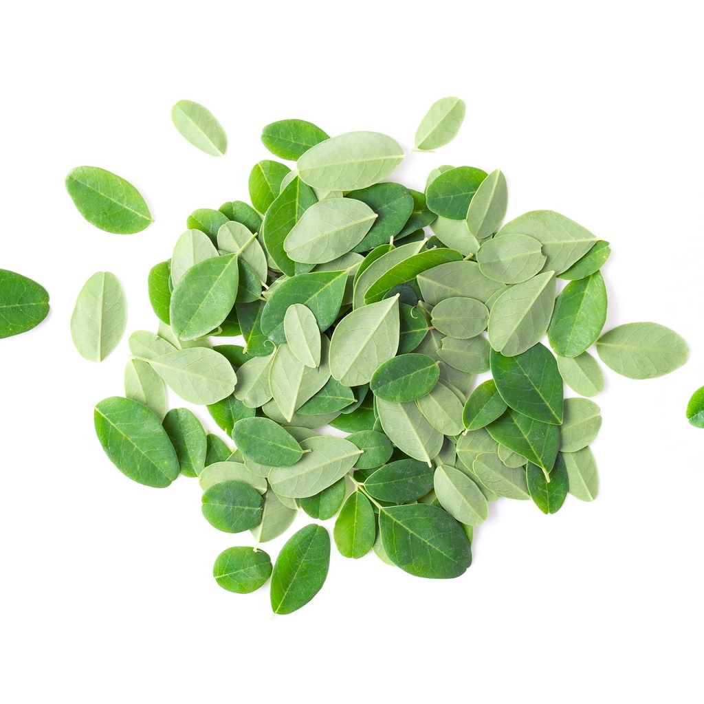 pure-original-ingredients-moringa-8oz-mo-3.jpg