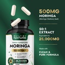 built-by-nature-moringa-500mg-pure-morin-3.jpg