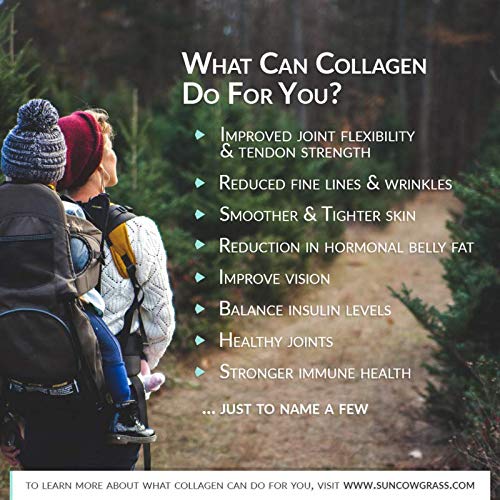 wild-alaskan-salmon-bone-broth-collagen--3.jpg