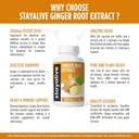 stay-alive-pure-ginger-root-capsules-100-6.jpg