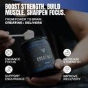 vedge-nutrition-creatine-vegan-plant-bas-3.jpg