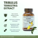 barlowe-s-herbal-elixirs-tribulus-terres-3.jpg