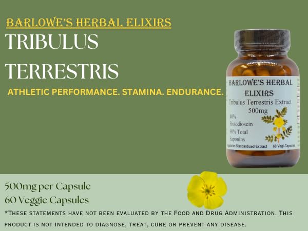 barlowe-s-herbal-elixirs-tribulus-terres-5.jpg