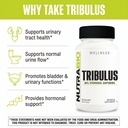 nutrabio-tribulus-terrestris-extract-sup-4.jpg
