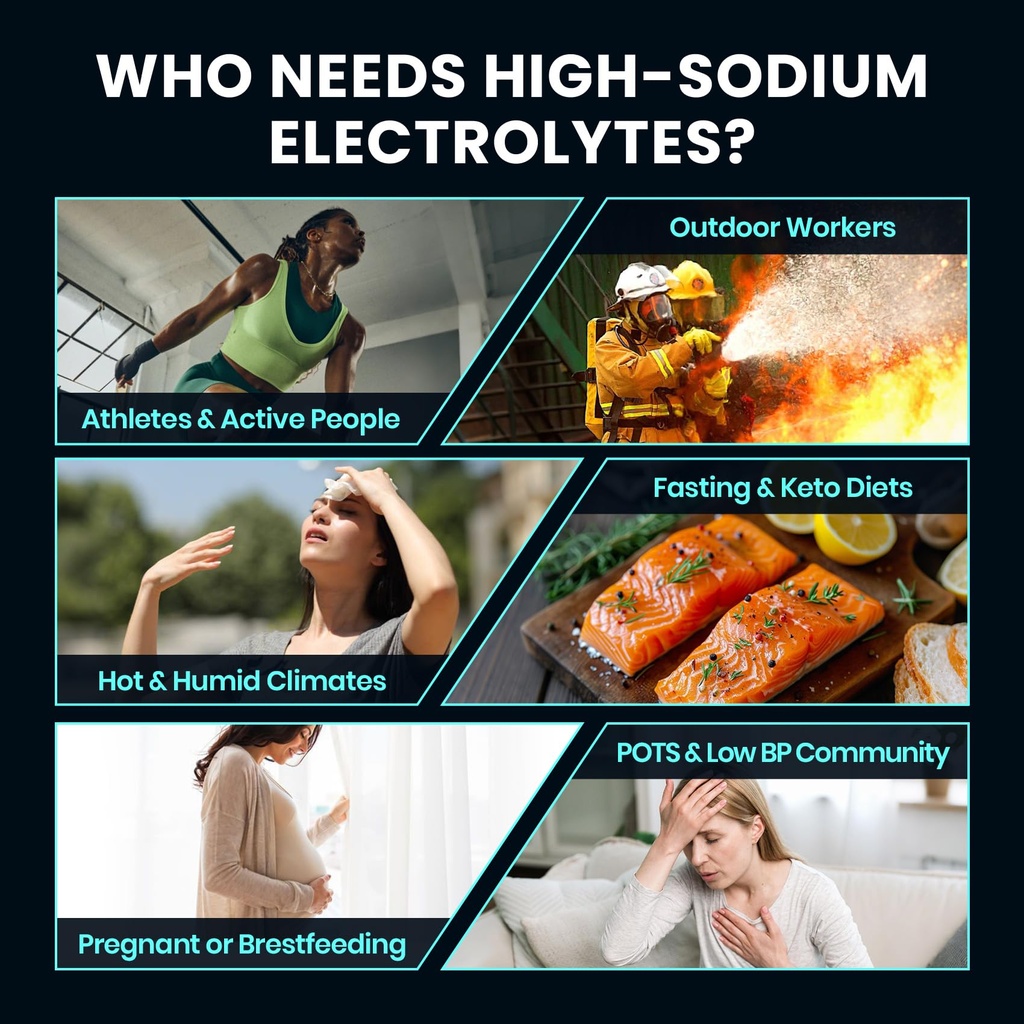 venture-pal-high-sodium-sugar-free-elect-4.jpg