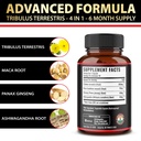 zolotus-2-packs-tribulus-terrestris-with-6.jpg