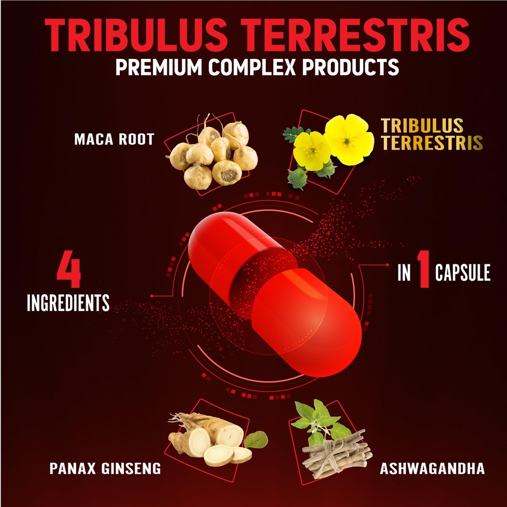zolotus-2-packs-tribulus-terrestris-with-5.jpg