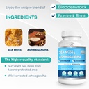 sea-moss-ashwagandha-sea-moss-gummies-bu-4.jpg