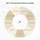hemp-vegan-protein-powder-for-heart-and--4.jpg