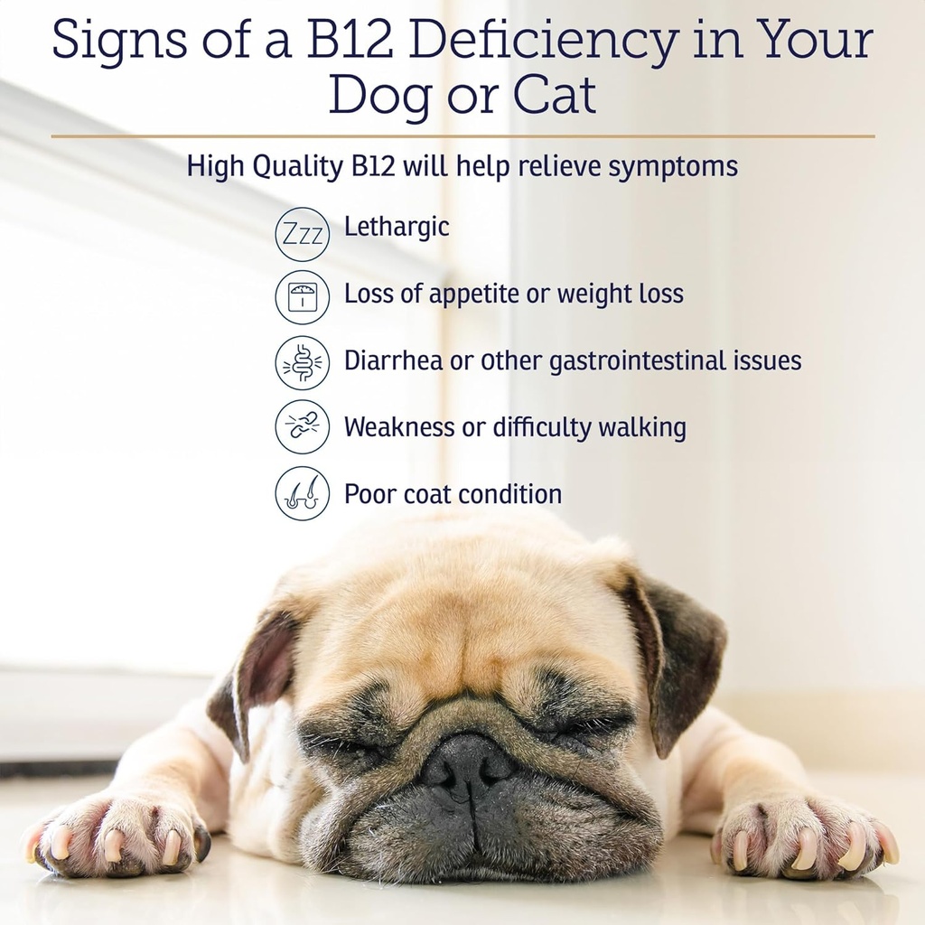 rx-vitamins-b12-for-dogs-and-cats---dog--5.jpg