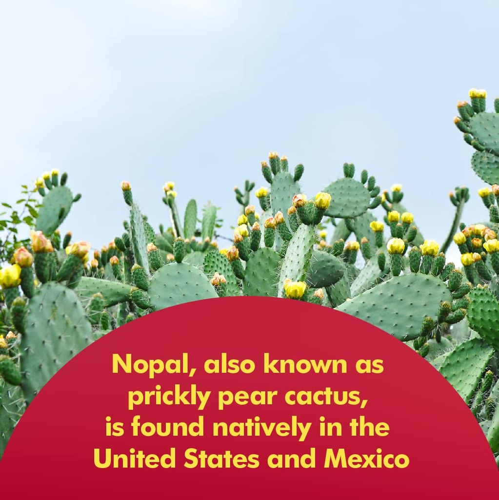 santo-remedio-nopal-will-powder-bundle-3.jpg