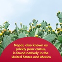 santo-remedio-nopal-retinol-intensive-re-3.jpg
