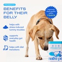 native-pet-the-daily-dog-vitamins-supple-3.jpg