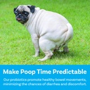 pawsafe-dog-probiotics-soft-chews-for-pi-4.jpg