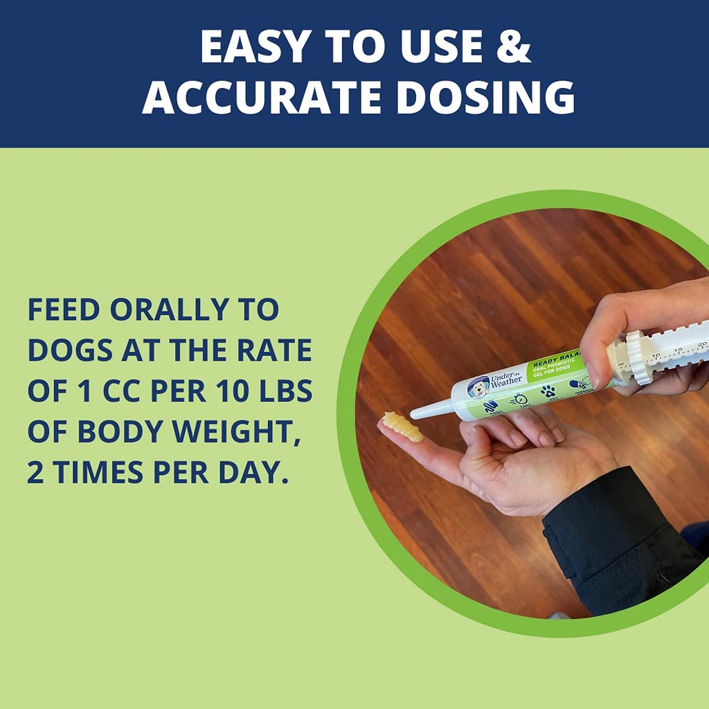 under-the-weather-pet-ready-balance-for--4.jpg