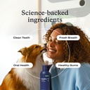 petlab-co-dog-teeth-cleaning-gut-health--4.jpg