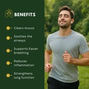 5-in-1-mullein-gummies-for-lungs-cleanse-3.jpg