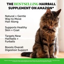 cat-skin-coat-health-hairball-support-bu-3.jpg