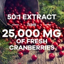 cranberry-pills-supplement-25000mg---fre-3.jpg