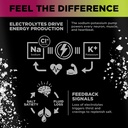 lmnt-sparkling-electrolyte-drink-variety-3.jpg
